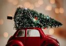 Juleglæde i dit hjem: De bedste julestjerner